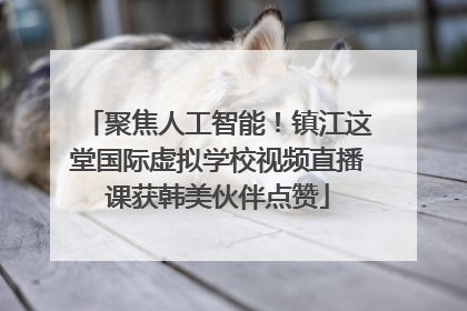 聚焦人工智能！镇江这堂国际虚拟学校视频直播课获韩美伙伴点赞