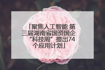聚焦人工智能 第三届湖南省国资国企“科技周”提出74个应用计划