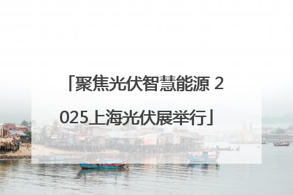 聚焦光伏智慧能源 2025上海光伏展举行