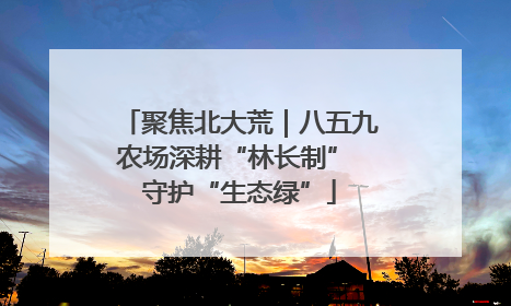 聚焦北大荒｜八五九农场深耕“林长制” 守护“生态绿”