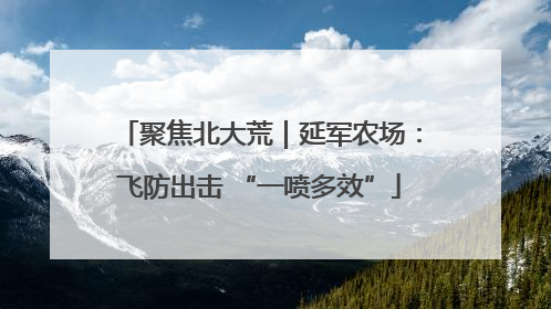 聚焦北大荒｜延军农场：飞防出击 “一喷多效”