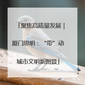聚焦高质量发展｜厦门思明：“带”动城市文明新图景