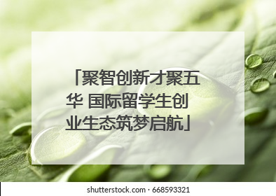 聚智创新才聚五华 国际留学生创业生态筑梦启航