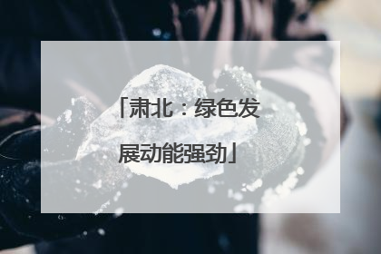 肃北：绿色发展动能强劲