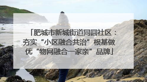 肥城市新城街道同圆社区：夯实“小区融合共治”根基做优“物网融合一家亲”品牌