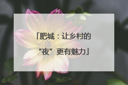 肥城：让乡村的“夜”更有魅力