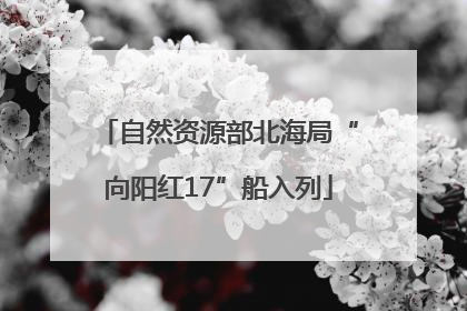 自然资源部北海局“向阳红17”船入列