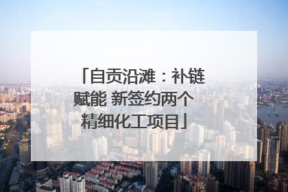 自贡沿滩：补链赋能 新签约两个精细化工项目