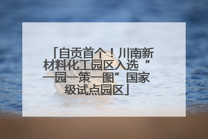 自贡首个！川南新材料化工园区入选“一园一策一图”国家级试点园区