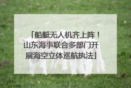 船艇无人机齐上阵！山东海事联合多部门开展海空立体巡航执法