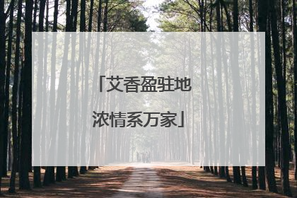 艾香盈驻地 浓情系万家