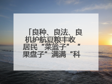 良种、良法、良机护航夏粮丰收 居民“菜篮子”“果盘子”满满“科技范儿”