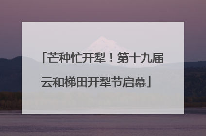 芒种忙开犁！第十九届云和梯田开犁节启幕