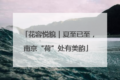 花容悦貌｜夏至已至，南京“荷”处有美韵