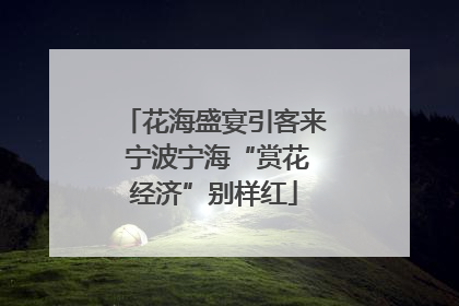 花海盛宴引客来 宁波宁海“赏花经济”别样红