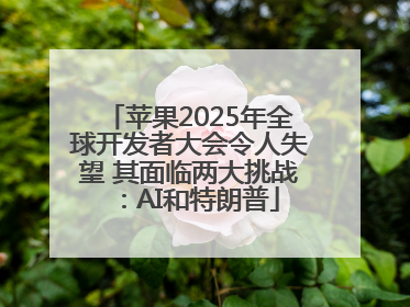苹果2025年全球开发者大会令人失望 其面临两大挑战：AI和特朗普