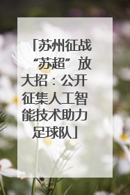 苏州征战“苏超”放大招：公开征集人工智能技术助力足球队