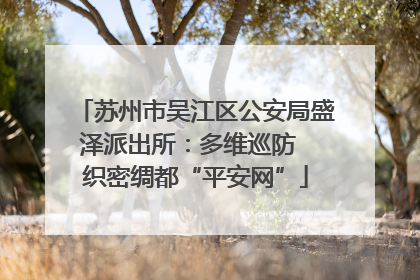苏州市吴江区公安局盛泽派出所：多维巡防  织密绸都“平安网”