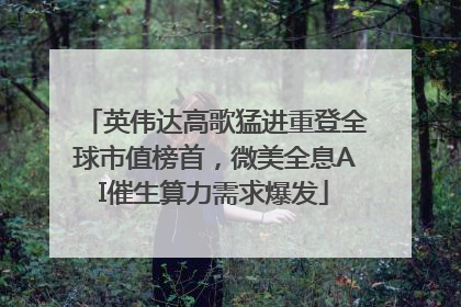 英伟达高歌猛进重登全球市值榜首，微美全息AI催生算力需求爆发