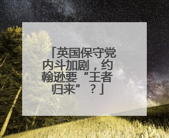 英国保守党内斗加剧，约翰逊要“王者归来”？