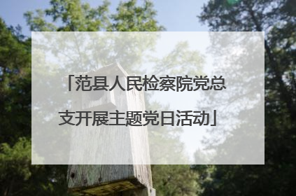 范县人民检察院党总支开展主题党日活动