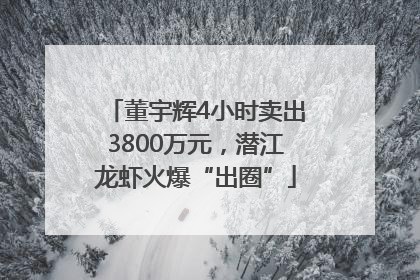 董宇辉4小时卖出3800万元，潜江龙虾火爆“出圈”