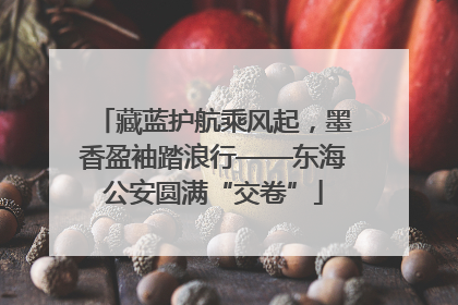 藏蓝护航乘风起，墨香盈袖踏浪行——东海公安圆满“交卷”
