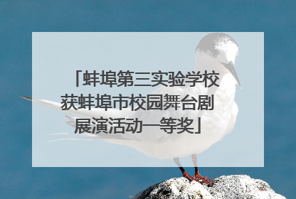 蚌埠第三实验学校获蚌埠市校园舞台剧展演活动一等奖