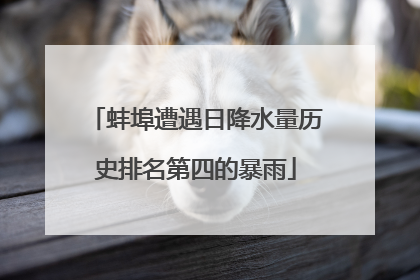 蚌埠遭遇日降水量历史排名第四的暴雨