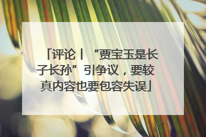 评论丨“贾宝玉是长子长孙”引争议，要较真内容也要包容失误