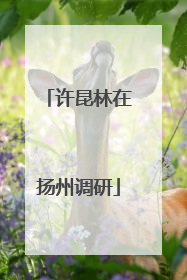 许昆林在扬州调研