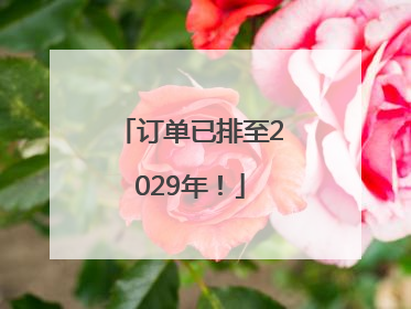 订单已排至2029年！