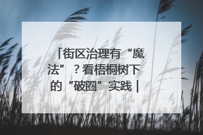 街区治理有“魔法”？看梧桐树下的“破圈”实践｜我在街区当书记