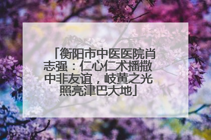 衡阳市中医医院肖志强：仁心仁术播撒中非友谊，岐黄之光照亮津巴大地
