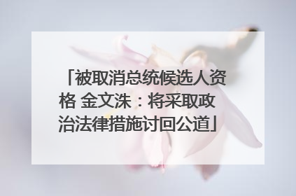 被取消总统候选人资格 金文洙：将采取政治法律措施讨回公道