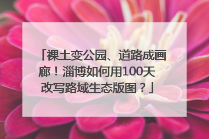 裸土变公园、道路成画廊！淄博如何用100天改写路域生态版图？