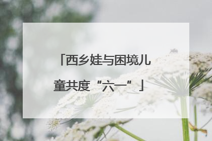 西乡娃与困境儿童共度“六一”