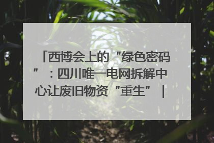 西博会上的“绿色密码”：四川唯一电网拆解中心让废旧物资“重生”｜西博寻“新”记