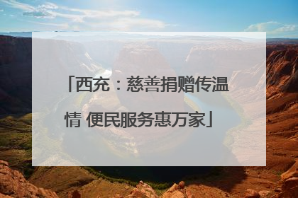 西充：慈善捐赠传温情 便民服务惠万家