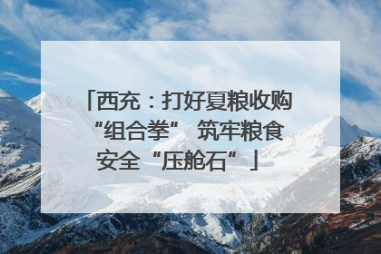 西充：打好夏粮收购“组合拳” 筑牢粮食安全“压舱石”