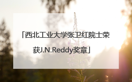 西北工业大学张卫红院士荣获J.N.Reddy奖章