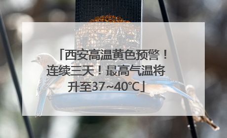 西安高温黄色预警！连续三天！最高气温将升至37~40℃