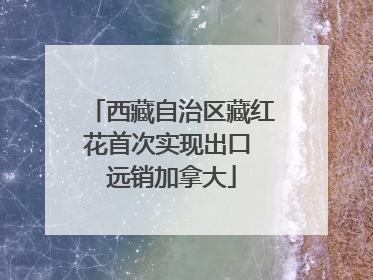 西藏自治区藏红花首次实现出口 远销加拿大
