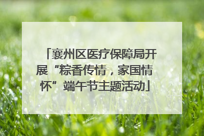 襄州区医疗保障局开展“粽香传情，家国情怀”端午节主题活动