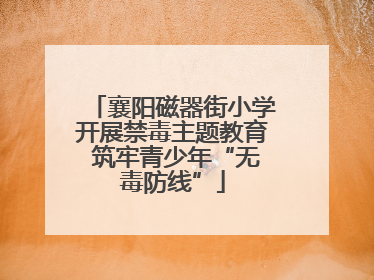 襄阳磁器街小学开展禁毒主题教育 筑牢青少年“无毒防线”