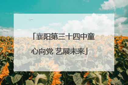 襄阳第三十四中童心向党 艺展未来