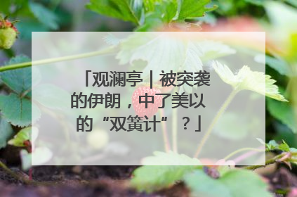 观澜亭｜被突袭的伊朗，中了美以的“双簧计”？