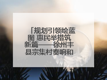 规划引领绘蓝图 惠民举措筑新篇——徐州丰县宗集村奏响和美乡村振兴曲