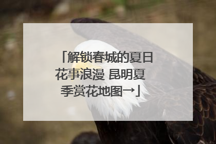 解锁春城的夏日花事浪漫 昆明夏季赏花地图→
