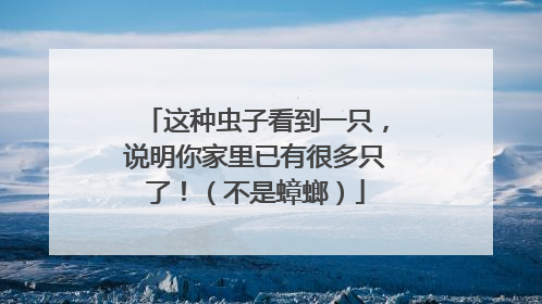 这种虫子看到一只，说明你家里已有很多只了！（不是蟑螂）